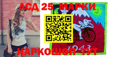 a pvp Кингисепп