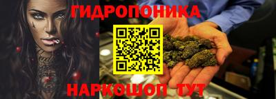 a pvp Кингисепп