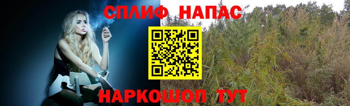 Котлас  Каннабис MAZAR  Бошки марихуана сатива  Вход с VPN  Конопля конопля 
